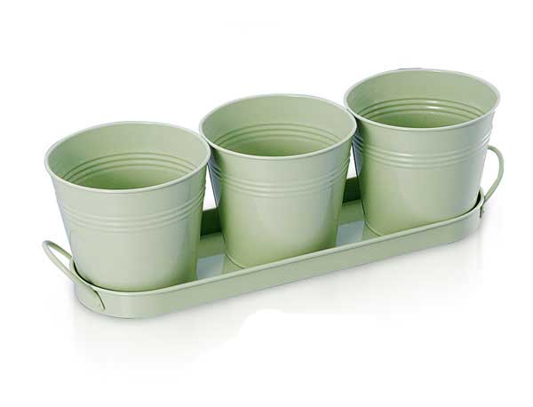 שלישית עציצים